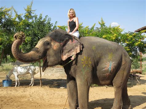 elephant girl sexy video|african bush elephant with girls.